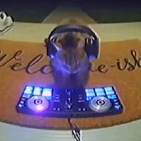 AUTOMOTIVO ANGELICAL V4 FANMADE JDKXS