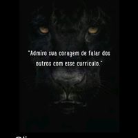 ingrediente03