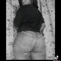 sylvestr31
