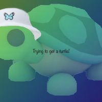 adoptme..tradingmywayup
