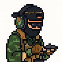 thespecialforcesfc2013