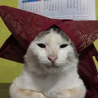 suara asli - HaoGOD