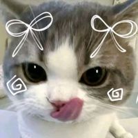 original sound - sakura🌸