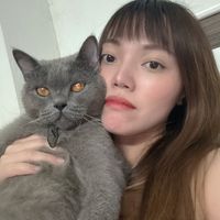 nhạc nền - Quỳnh Thu
