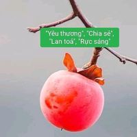 âm thanh gốc - Đẹp và Hay