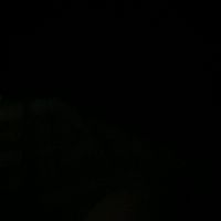 carmonaraceli_