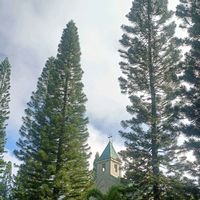 original sound - Sarnz_maxie