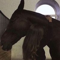 briallovesyou