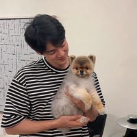 오리지널 사운드 - 예바🌻
