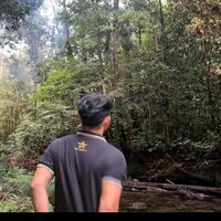 suara asli - Yoo🅾️💢