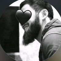 user31451768200675