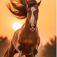 original sound - videostatus_oficial