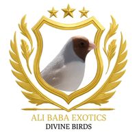ali.baba.aviary
