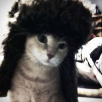 оригинальный звук