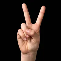 original sound - mafia_mrc26