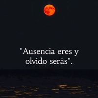 angiehdzc07