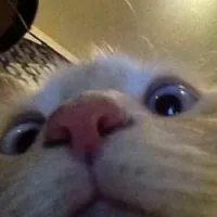 original sound - thanawit.phungam