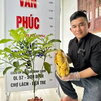 Con đò lỡ hẹn h2k