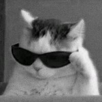 user12344king