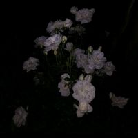 オリジナル楽曲 - 雪夜