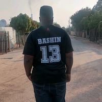 bashin31