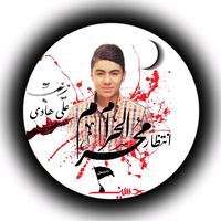 alihadijanan313