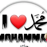 user4799441566