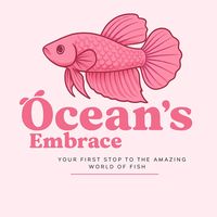 oceans.embrace1