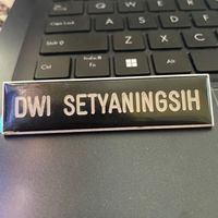 dwisetya1605