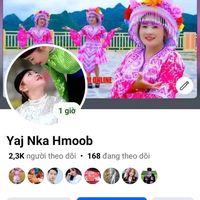 nhạc nền - nkauj.zoo.muaj.yeej