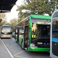 alti_busses