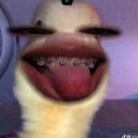 useerrll29
