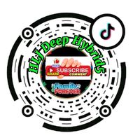 hljdeephybrid5