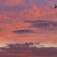 original sound - Febby雲