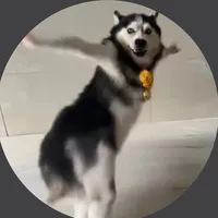 original sound - dancerhusky