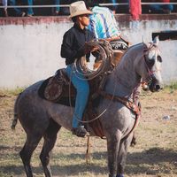 ricardo.yaez62