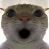 say nắng speed up