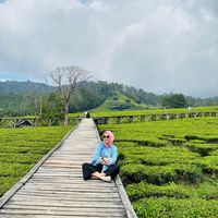 original sound - _nursari02