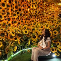 lalynat30