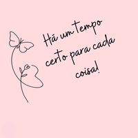 fernandamirandalucas