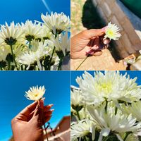 patiencemoloi02