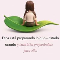 www.tiktok.elamormio.com