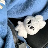 Berkibarlah bendera negeriku