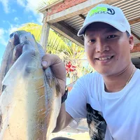 original sound - dongphuquoc