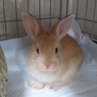hiromay