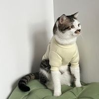 llluckycattt