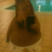 carlos.carlitoss