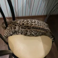 original sound - kris_tlt16316