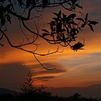 1324_p.v