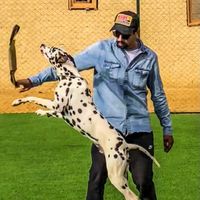 campa.dog.training